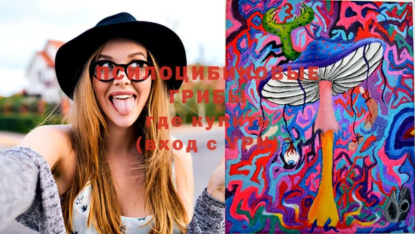 MDMA Михайловка